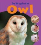 Ruth Thomson - Life Cycle of an Owl