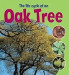 Ruth Thomson - Life Cycle of an Oak Tree