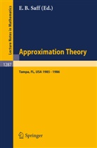 Edward Saff, Edward B. Saff, Edward Barry Saff - Approximation Theory. Tampa