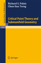 Richard S. Palais, Chuu-lian Terng - Critical Point Theory and Submanifold Geometry