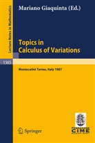 Mariano Giaquinta - Topics in Calculus of Variations
