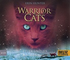 Erin Hunter, Ulrike Krumbiegel, Ulrike (Gelesen) Krumbiegel, Klaus Weimann - Warrior Cats: Feuer und Eis (Audiolibro)