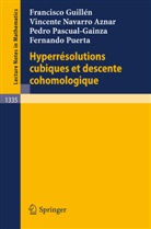 Francisco Guillen, Vincente Navarro Aznar, Pedro Pascual-Gainza, Fernando Puerta - Hyperresolutions cubiques et descente cohomologique