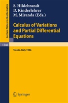 Stefan Hildebrandt, David Kinderlehrer, Mario Miranda - Calculus of Variations and Partial Differential Equations