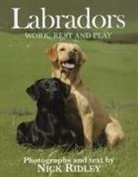 Nick Ridley, Nick Ridley - Labradors