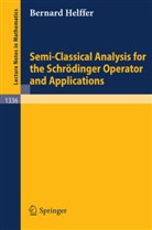 Bernard Helffer - Semi-Classical Analysis for the Schrödinger Operator and Applications