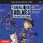 Michael Citrin, Tracy Mack, Bernd Stephan - Sherlock Holmes & Die Baker-Street-Bande, Audio-CDs: Das Haus der Wahrsager, 2 Audio-CDs (Hörbuch)