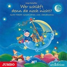 Ursel Scheffler - Wer schläft denn da noch nicht?, Audio-CD (Audio book)