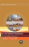 Piet Lens, Piet Grotenhuis Lens, T. Grotenhuis, Tim Grotenhuis, Piet Lens, G. Malina - Soil and Sediment Remediation