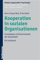 Hans-Jürge Balz, Hans-Jürgen Balz, Erika Spieß, Fröhlich-Gildhoff, Johann Hartung - Kooperation in sozialen Organisationen