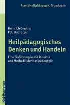 Greving, Heinric Greving, Heinrich Greving, Ondrace, Petr Ondracek, Heinric Greving - Heilpädagogisches Denken und Handeln