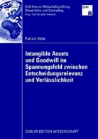 Patrick Velte - Intangible Assets und Goodwill im Spannungsfeld zwischen Entscheidungsrelevanz und Verlässlichkeit