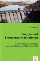 Lilia Kalbfleisch - Energie und Energiesparmaßnahmen