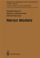 Siegfrie Bosch, Siegfried Bosch, Werne Lütkebohmert, Werner Lütkebohmert, Mic Raynaud, Michel Raynaud - Neron Models