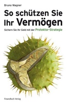 Bruno Wagner - So schützen Sie Ihr Vermögen