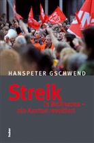 Hanspeter Gschwend - Streik in Bellinzona