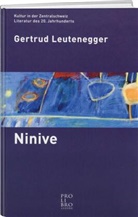 Gertrud Leutenegger - Ninive