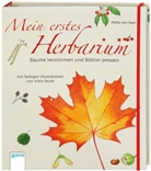 Anita van Saan, Viola Beyer - Mein erstes Herbarium - Bäume bestimmen und Blätter pressen