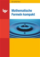 Klaus Ulshöfer - Mathematische Formeln kompakt