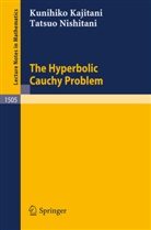 Kunihiko Kajitani, Tatsuo Nishitani - The Hyperbolic Cauchy Problem
