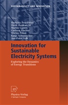Dier Bauknecht, Dierk Bauknecht, Martin Cames, Corinna Fischer, Martin Pehnt, Barbar Praetorius... - Innovation for Sustainable Electricity Systems
