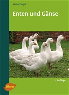 Heinz Pingel - Enten und Gänse