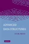 Peter Brass, Peter (City College Brass - Advanced Data Structures