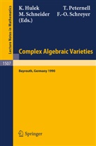 Klaus Hulek, Thoma Peternell, Thomas Peternell, Michael Schneider, Michael Schneider et al, Frank-Olaf Schreyer - Complex Algebraic Varieties