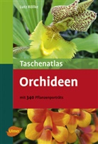 Lutz Röllke, Lutz Röllke - Taschenatlas Orchideen