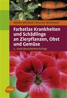 Bern Böhmer, Bernd Böhmer, Walter Wohanka - Farbatlas Krankheiten und Schädlinge an Zierpflanzen, Obst und Gemüse