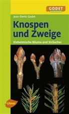 Jean D Godet, Jean-Denis Godet - Knospen und Zweige