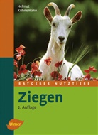 Helmut Kühnemann - Ziegen