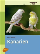 Horst Bielfeld - Kanarien