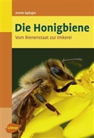 Armin Spürgin - Die Honigbiene