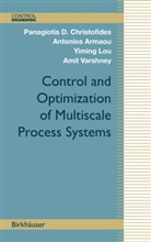 Antonio Armaou, Antonios Armaou, Panagiotis Christofides, Panagiotis D Christofides, Panagiotis D. Christofides, Y Lou... - Control and Optimization of Multiscale Process Systems