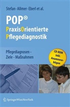 Harald Stefan - POP® - PraxisOrientierte Pflegediagnostik, m. CD-ROM
