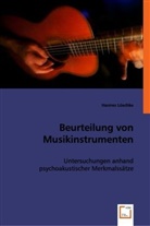 Hannes Löschke - Beurteilung von Musikinstrumenten