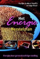 T. Visser, M. de Waal - Het Energie Herstelplan