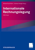 Olive Beyhs, Oliver Beyhs, Raphae Hausen, Raphael Hausen, Bernadette Wagner, Michae Buschhüter... - Internationale Rechnungslegung