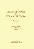 John Nohel, G. -C. Rota, G.-C. Rota, David Sattinger - Selected Works of Norman Levinson