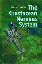 K. Wiese, Konra Wiese, Konrad Wiese - The Crustacean Nervous System