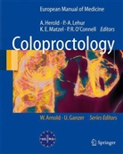 Klaus E Matzel et al, A. Herold, Alexander Herold, P. -A. Lehur, Paul-Antoin Lehur, Paul-Antoine Lehur... - Coloproctology