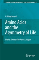 Uwe Meierhenrich - Amino Acids and the Asymmetry of Life
