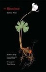 Norbert Krapf, Krapf Norbert, David Pierini, Photographs by David Pierini Norbert Kra - Bloodroot