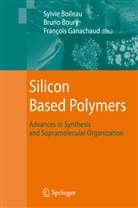 Sylvi Boileau, Sylvie Boileau, Bruno Boury, Francois Ganachaud, François Ganachaud - Silicon Based Polymers