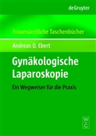Andreas D. Ebert - Gynäkologische Laparoskopie