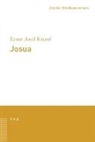 Ernst Axel Knauf - Josua