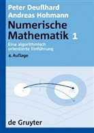 Deuflhar, Pete Deuflhard, Peter Deuflhard, Hohmann, Andreas Hohmann, Walter Zulehner - Numerische Mathematik - [Band] 1: Eine algorithmisch orientierte Einführung