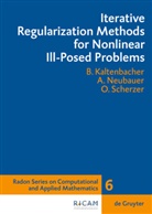 Barbar Kaltenbacher, Barbara Kaltenbacher, Andrea Neubauer, Andreas Neubauer, Scherzer, Otmar Scherzer - Iterative Regularization Methods for Nonlinear Ill-Posed Problems