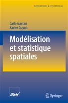 Carl Gaetan, Carlo Gaetan, Xavier Guyon - Modélisation et statistique spatiales